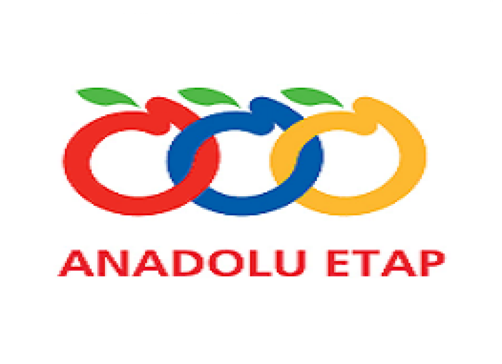 ANADOLU ETAP