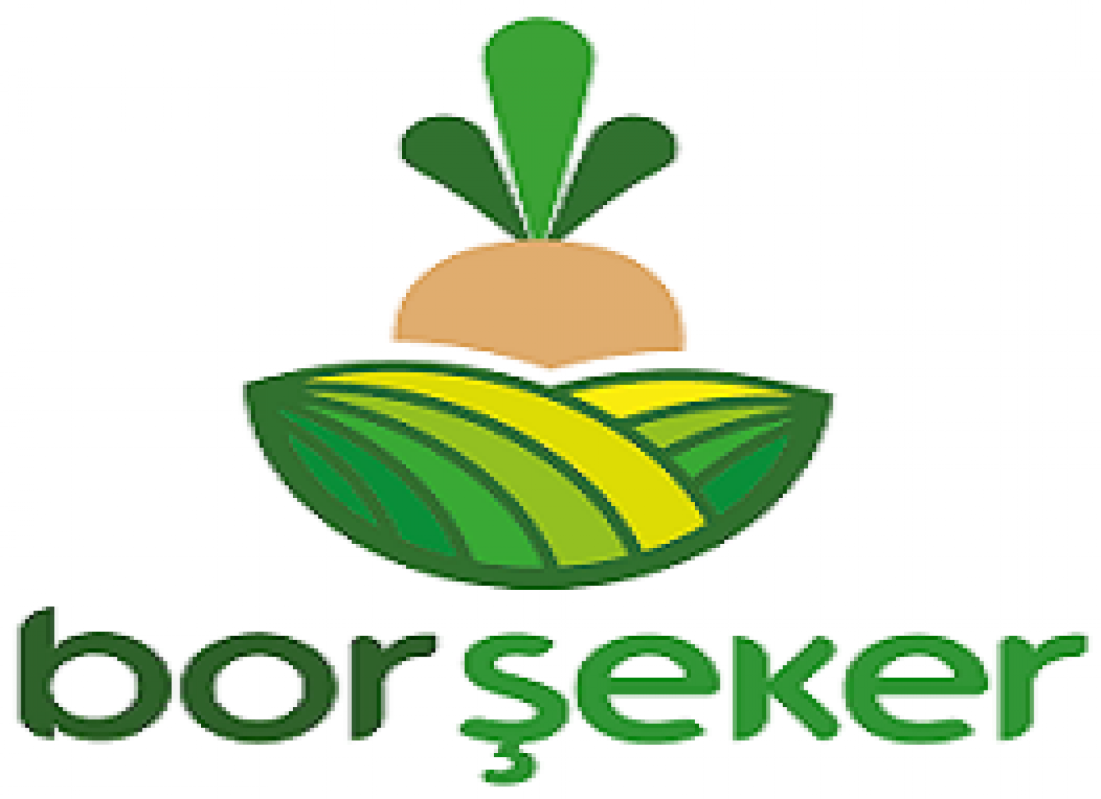 BOR ŞEKER