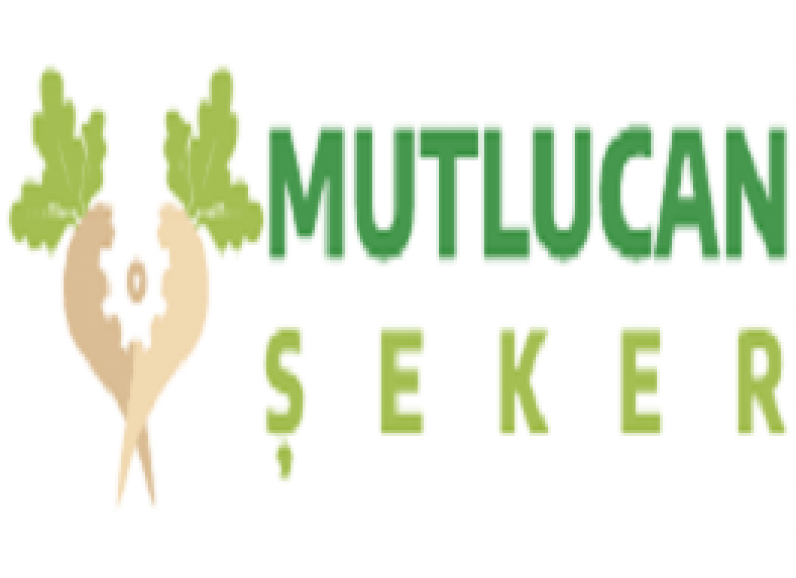 MUTLUCAN ŞEKER